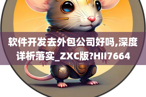 软件开发去外包公司好吗,深度详析落实_ZXC版?HII7664