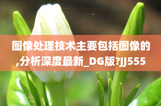 图像处理技术主要包括图像的,分析深度最新_DG版?JJ555