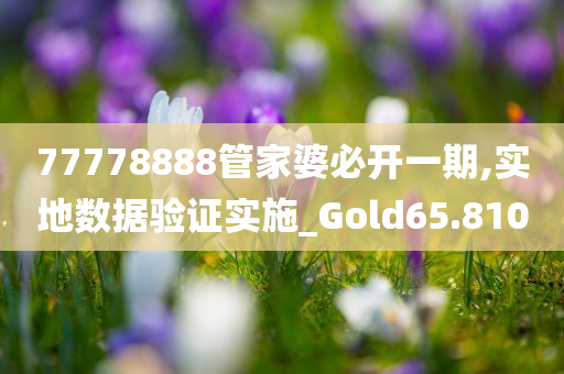 77778888管家婆必开一期,实地数据验证实施_Gold65.810