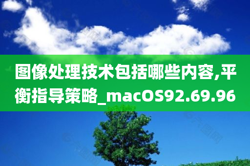 图像处理技术包括哪些内容,平衡指导策略_macOS92.69.96