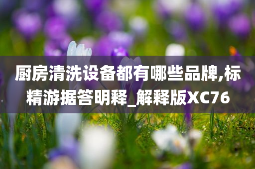 厨房清洗设备都有哪些品牌,标精游据答明释_解释版XC76