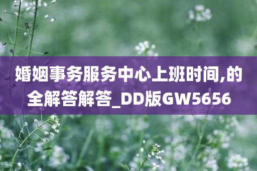 婚姻事务服务中心上班时间,的全解答解答_DD版GW5656