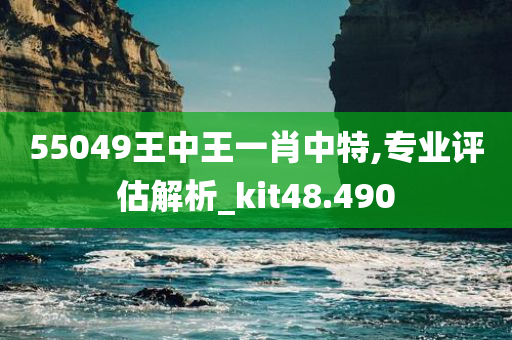 55049王中王一肖中特,专业评估解析_kit48.490