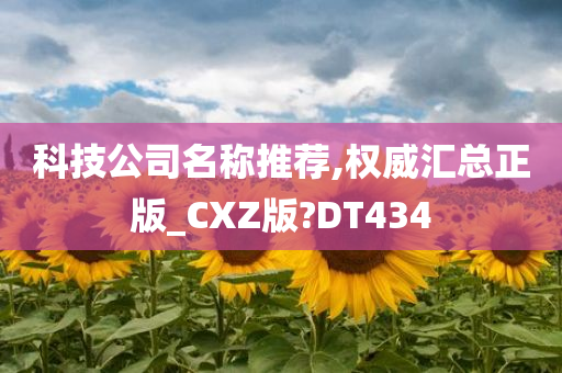 科技公司名称推荐,权威汇总正版_CXZ版?DT434