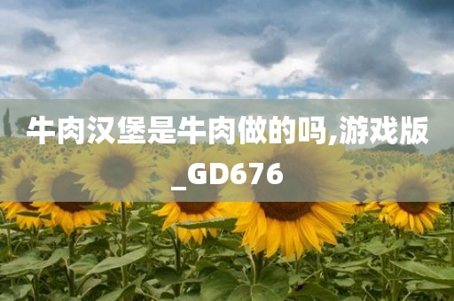 牛肉汉堡是牛肉做的吗,游戏版_GD676