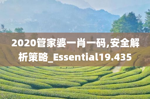 2020管家婆一肖一码,安全解析策略_Essential19.435