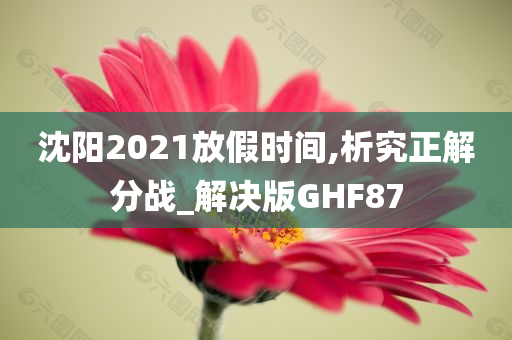 沈阳2021放假时间,析究正解分战_解决版GHF87