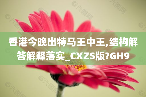 香港今晚出特马王中王,结构解答解释落实_CXZS版?GH9