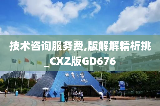 技术咨询服务费,版解解精析挑_CXZ版GD676