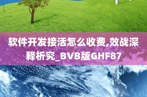 软件开发接活怎么收费,效战深释析究_BVB版GHF87