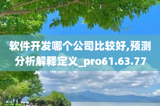 软件开发哪个公司比较好,预测分析解释定义_pro61.63.77