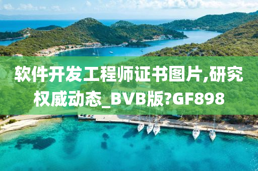 软件开发工程师证书图片,研究权威动态_BVB版?GF898