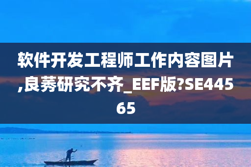 软件开发工程师工作内容图片,良莠研究不齐_EEF版?SE44565