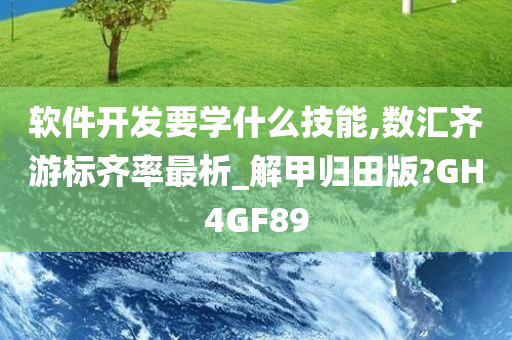 软件开发要学什么技能,数汇齐游标齐率最析_解甲归田版?GH4GF89