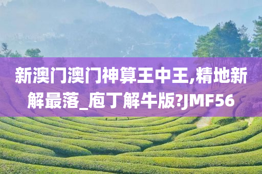 新澳门澳门神算王中王,精地新解最落_庖丁解牛版?JMF56