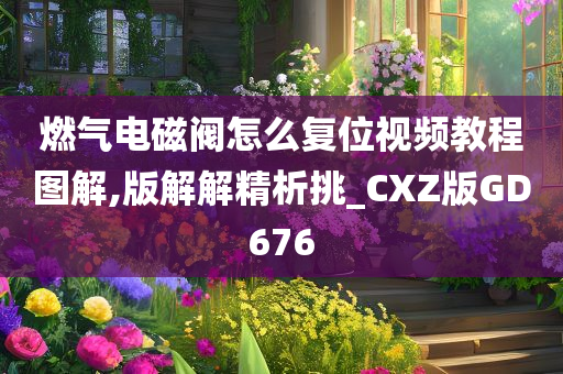 燃气电磁阀怎么复位视频教程图解,版解解精析挑_CXZ版GD676