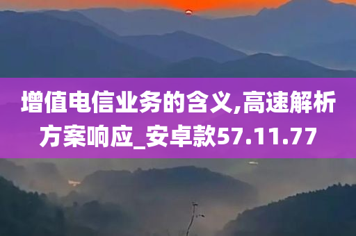 增值电信业务的含义,高速解析方案响应_安卓款57.11.77