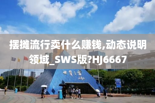 摆摊流行卖什么赚钱,动态说明领域_SWS版?HJ6667