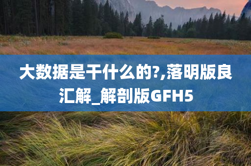 大数据是干什么的?,落明版良汇解_解剖版GFH5