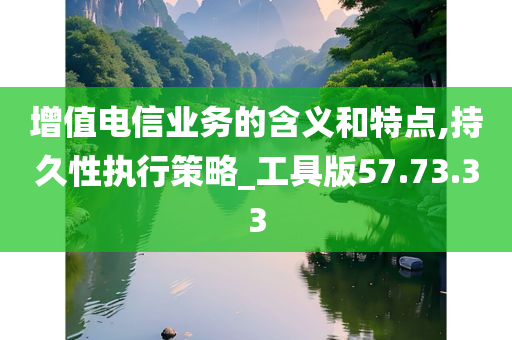 增值电信业务的含义和特点,持久性执行策略_工具版57.73.33