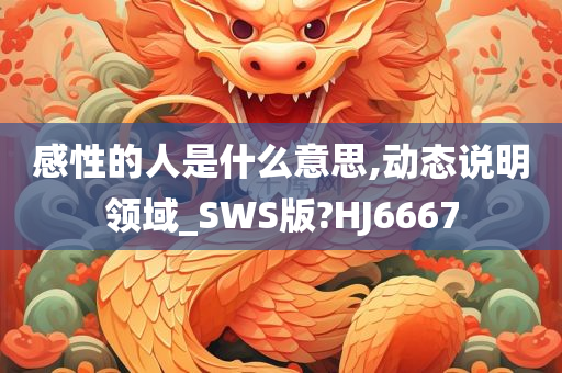 感性的人是什么意思,动态说明领域_SWS版?HJ6667