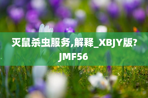 灭鼠杀虫服务,解释_XBJY版?JMF56