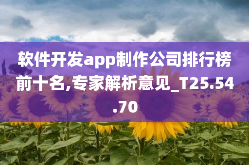 软件开发app制作公司排行榜前十名,专家解析意见_T25.54.70