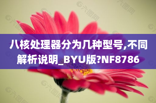 八核处理器分为几种型号,不同解析说明_BYU版?NF8786