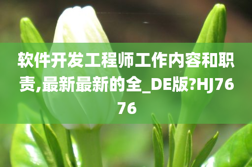 软件开发工程师工作内容和职责,最新最新的全_DE版?HJ7676