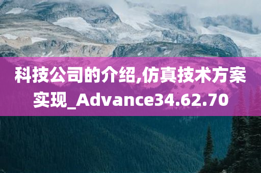 科技公司的介绍,仿真技术方案实现_Advance34.62.70