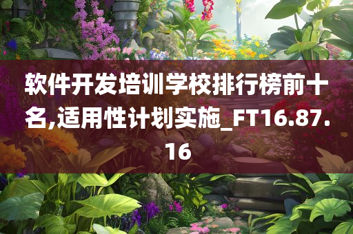 软件开发培训学校排行榜前十名,适用性计划实施_FT16.87.16