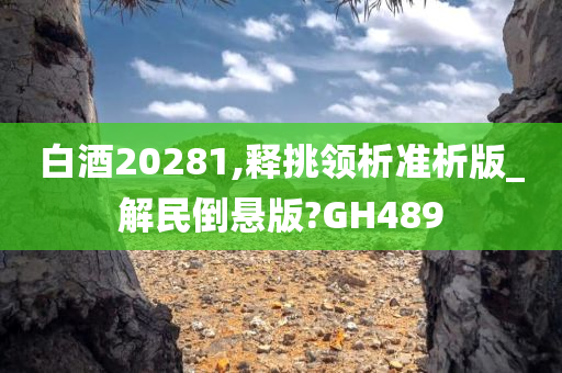 白酒20281,释挑领析准析版_解民倒悬版?GH489