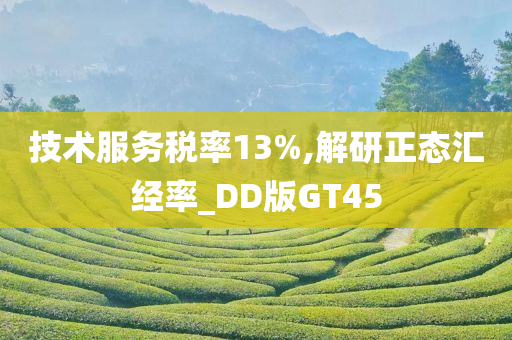 技术服务税率13%,解研正态汇经率_DD版GT45