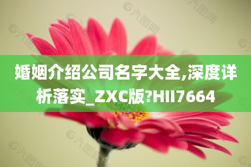 婚姻介绍公司名字大全,深度详析落实_ZXC版?HII7664