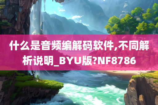 什么是音频编解码软件,不同解析说明_BYU版?NF8786