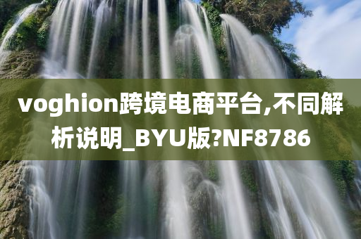 voghion跨境电商平台,不同解析说明_BYU版?NF8786