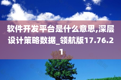 软件开发平台是什么意思,深层设计策略数据_领航版17.76.21