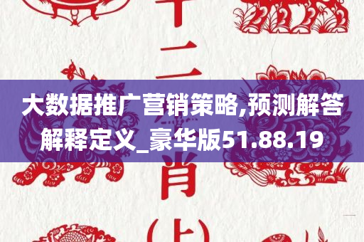 大数据推广营销策略,预测解答解释定义_豪华版51.88.19