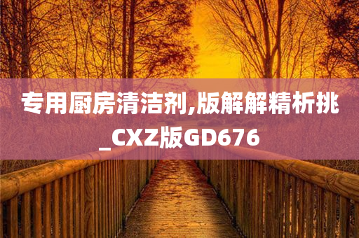 专用厨房清洁剂,版解解精析挑_CXZ版GD676