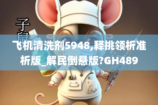 飞机清洗剂5948,释挑领析准析版_解民倒悬版?GH489