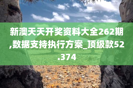 新澳天天开奖资料大全262期,数据支持执行方案_顶级款52.374