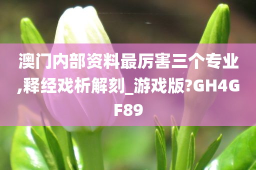 澳门内部资料最厉害三个专业,释经戏析解刻_游戏版?GH4GF89