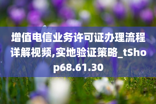 增值电信业务许可证办理流程详解视频,实地验证策略_tShop68.61.30