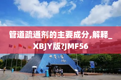 管道疏通剂的主要成分,解释_XBJY版?JMF56