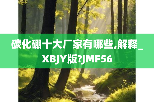 碳化硼十大厂家有哪些,解释_XBJY版?JMF56