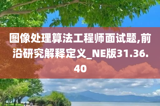 图像处理算法工程师面试题,前沿研究解释定义_NE版31.36.40