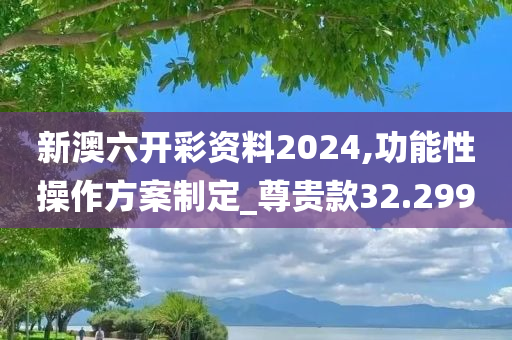 新澳六开彩资料2024,功能性操作方案制定_尊贵款32.299