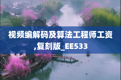 视频编解码及算法工程师工资,复刻版_EE533