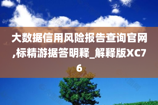 大数据信用风险报告查询官网,标精游据答明释_解释版XC76