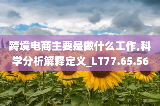 跨境电商主要是做什么工作,科学分析解释定义_LT77.65.56